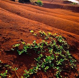 《巫师4》新地区曝光：柯维尔王国雪峰耸立 画面震撼