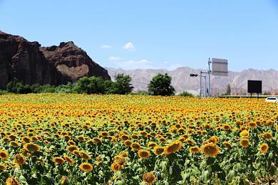 愚人节新闻：CDPR发布《赛博朋克2077》软盘版 安装完毕需要两个月